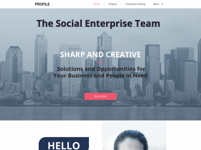 thesocialenterpriseteam.com snapshot