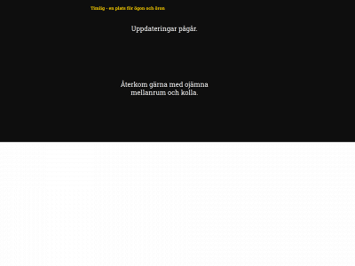 timlig.se snapshot