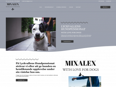 mixalex.com snapshot
