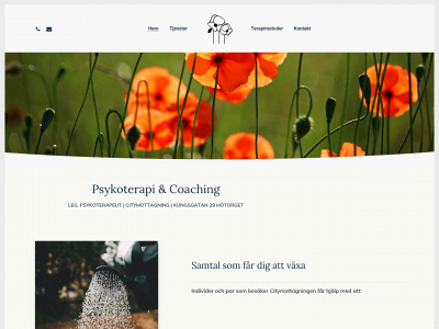 citypsykoterapi.se snapshot