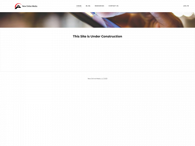 www.newonlinemedia.com snapshot