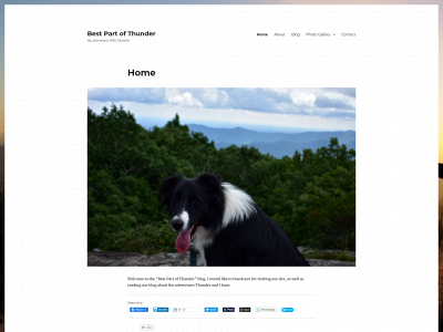 bestpartofthunder.com snapshot