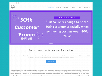 ohanacarpetcare.com snapshot