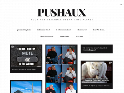 pushaux.com snapshot