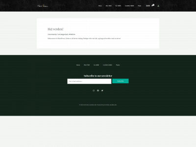 techvibe-sandbox.dk snapshot