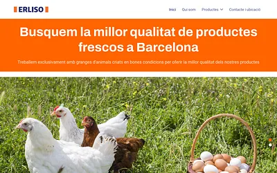 comercialerliso.es snapshot