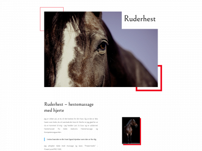 ruderhest.dk snapshot
