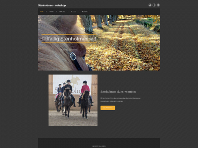 stenholmen.shop snapshot