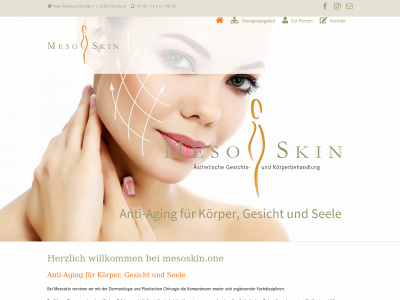 mesoskin.one snapshot