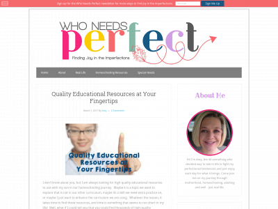 whoneedsperfect.com snapshot
