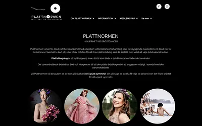 plattnormen.se snapshot