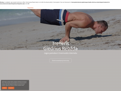 giedriusjoga.lt snapshot