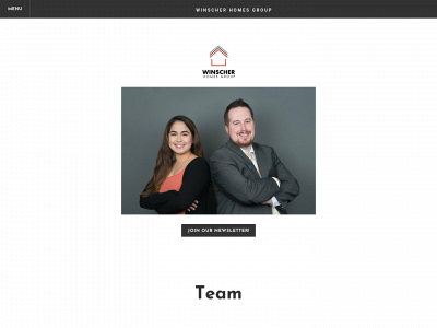 twincitieshomes.weebly.com snapshot