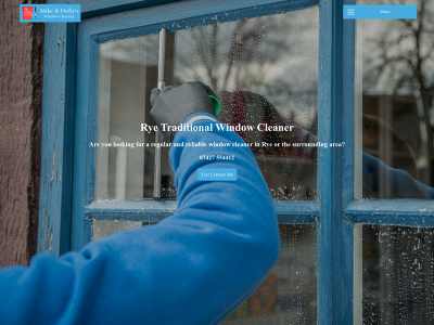ryewindowcleaner.co.uk snapshot