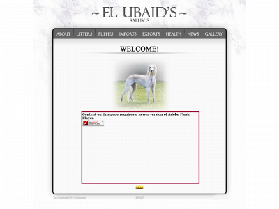 el-ubaid-saluki.nl snapshot
