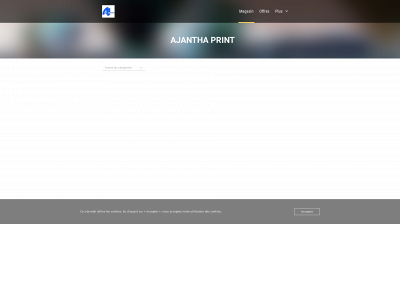 ajanthaprint.fr snapshot