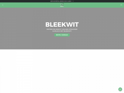 bleekwit.nl snapshot