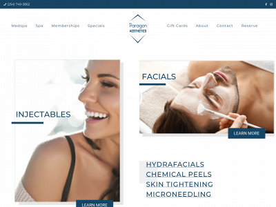paragonaesthetics.net snapshot