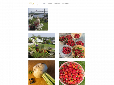 hoangtien.com snapshot