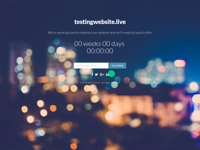 testingwebsite.live snapshot