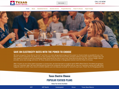 texaselectricservice.com snapshot