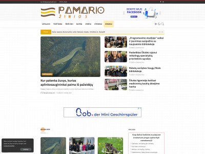pamariozinios.lt snapshot