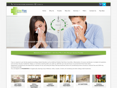 hygienetek.com snapshot