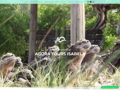 agora-tours.com snapshot
