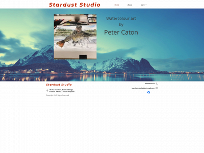 stardust-studio.co.uk snapshot