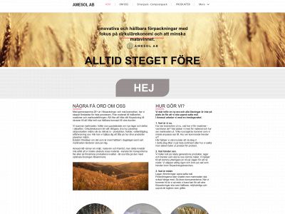 amesol.se snapshot
