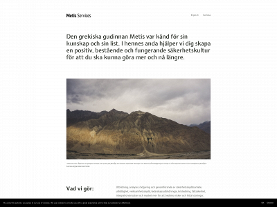 metisservices.se snapshot