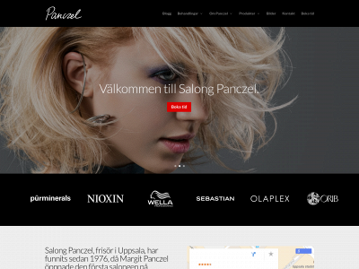 panczel.se snapshot