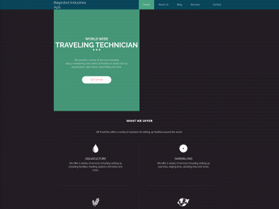 srtraveltec.dk snapshot