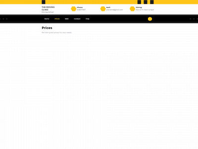 theottawadrivingclinic.com snapshot