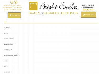 brightsmilesdentist.com snapshot