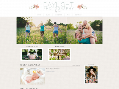 daylightphotographybytess.com snapshot