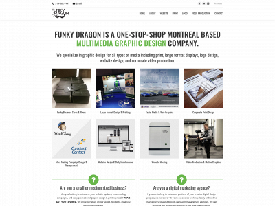 funkydragon.ca snapshot