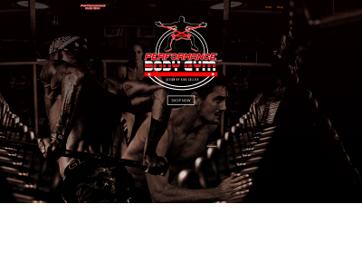 performancebodygym.com snapshot