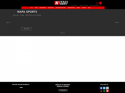 napasports.co.uk snapshot
