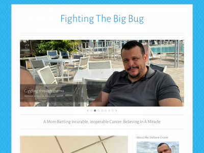 fightingthebigbug.com snapshot