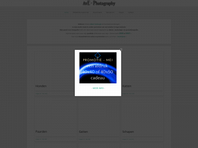 ave-photography.be snapshot