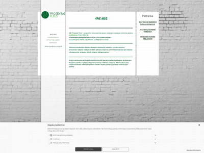projektaiplius.lt snapshot