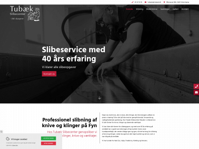 tubaek.dk snapshot