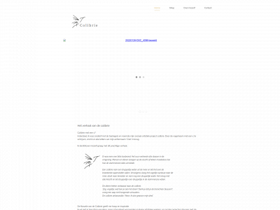 colibrie.site snapshot