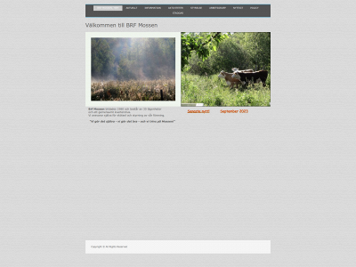 brfmossen.se snapshot