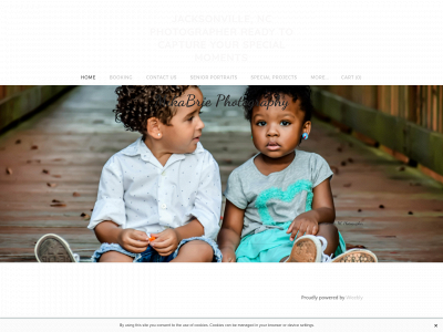 www.mikabriephotography.com snapshot