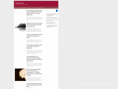 theheavysoul.com snapshot