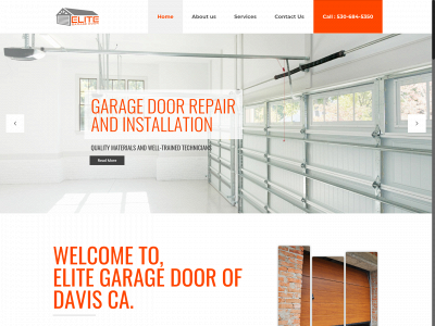elitegaragedoorrepairinc.com snapshot