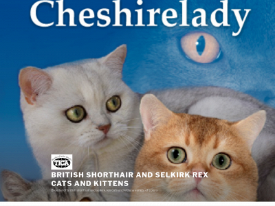 cheshireladycats.com snapshot