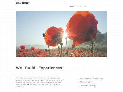 nathanhoostudio.weebly.com snapshot
